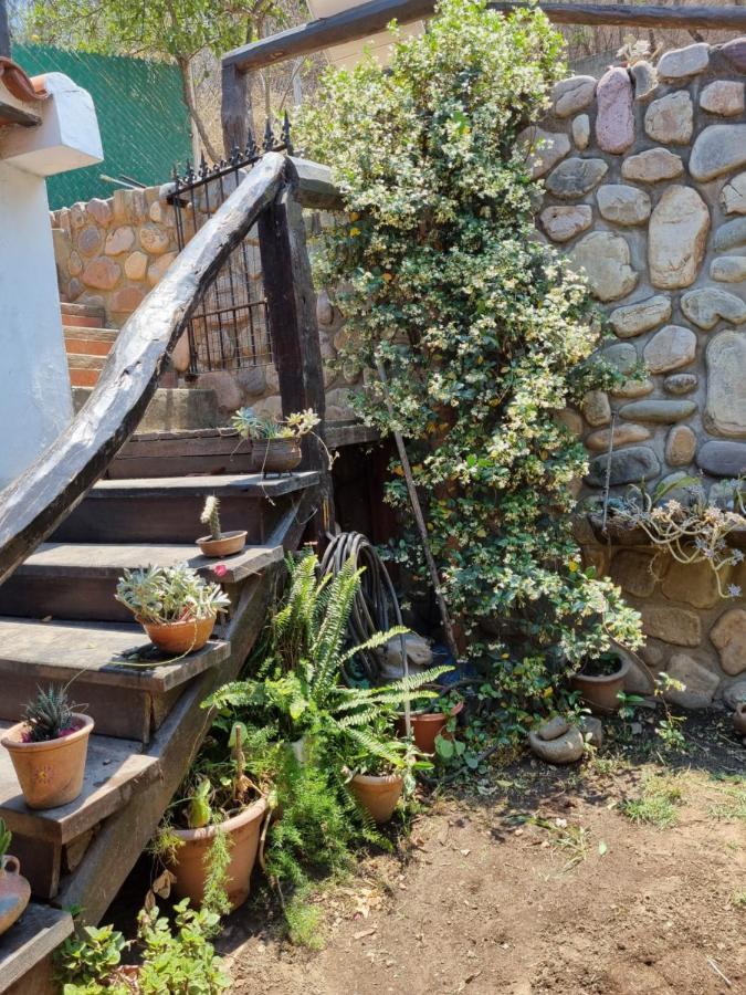 Hostal Las Rosas سالتا المظهر الخارجي الصورة